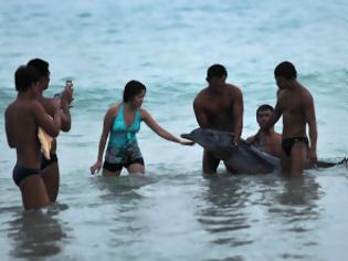 Φωτογραφία για Έβγαζαν δελφίνι από το νερό για να φωτογραφηθούν μαζί του!