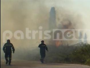 Φωτογραφία για Πύργος: «Ύποπτη» πυρκαγιά στο Μεσολογγάκι «φέρνει» την ΕΥΠ στην Ηλεία!