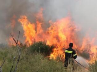 Φωτογραφία για Αχαία: Πρόλαβαν την πυρκαγιά στην Άρλα πριν επεκταθεί στο δάσος