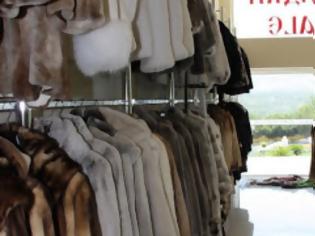 Φωτογραφία για Μαίνεται ο πόλεμος ... για τη γούνα! - «Γάζωσαν» κατάστημα εμπορίας γούνας