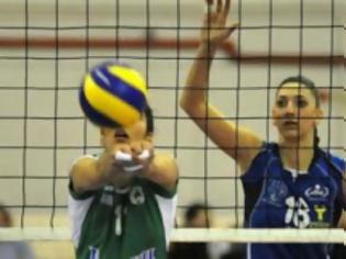 Φωτογραφία για ΣΥΝΤΟΜΑ ΑΝΑΚΟΙΝΩΝΟΥΝ ΝΕΑ ΚΕΝΤΡΙΚΗ ΟΙ ΝΤΑΜΠΛΟΥΧΕΣ