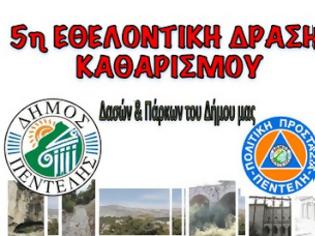 Φωτογραφία για 5η Εθελοντική Δράση Καθαρισμού: Δάσος Παπαδημητρίου