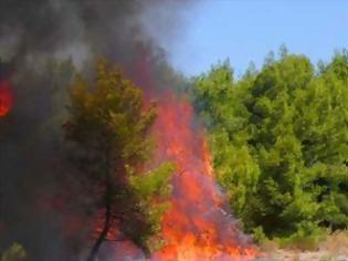 Φωτογραφία για ΣΥΜΒΑΙΝΕΙ ΤΩΡΑ στην Κρήτη:  Φωτιά στα Μεγάλα Χωράφια
