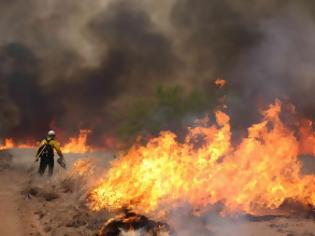 Φωτογραφία για 3 φωτιές την ίδια ώρα στα Γιάννινα - Άρχισε ο πύρινος χορός των εμπρησμών