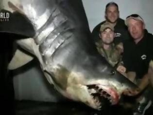 Φωτογραφία για VIDEO: Δεν πίστευαν στα μάτια τους οι ψαράδες!