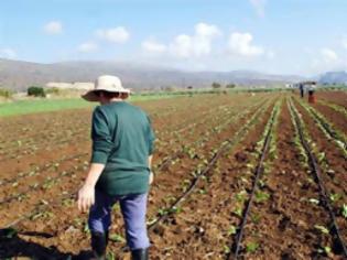 Φωτογραφία για 3,4 εκ. ευρώ αποζημιώσεις από τον ΕΛΓΑ