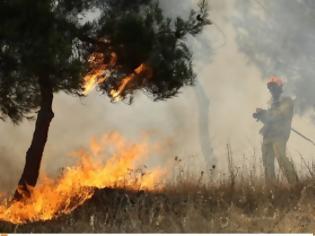 Φωτογραφία για Αχαΐα: Φωτιά σε αγροτοδασική περιοχή κοντά στον «Ιπποκάμηλο»