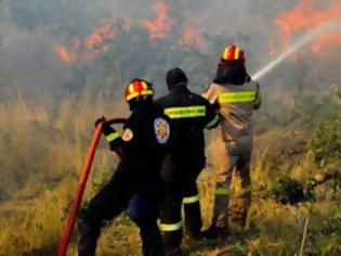 Φωτογραφία για Εκατοντάδες στρέμματα καίγονται στο Λασίθι - Συνεχίζεται η μάχη των πυροσβεστών
