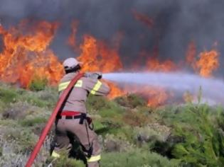 Φωτογραφία για Σε εξέλιξη πυρκαγιά στην Αργαλαστή Πηλίου