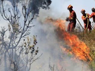 Φωτογραφία για Μεγάλη η καταστροφή από την πυρκαγιά στο Λασίθι - 230 στρέμματα γης έγιναν στάχτη