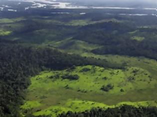 Φωτογραφία για Βραζιλία: Επιταχύνεται η αποψίλωση του Αμαζονίου