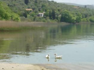 Φωτογραφία για Πυροτεχνουργική μελέτη για την Τριχωνίδα