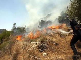 Φωτογραφία για Σε εξέλιξη φωτιά στην Αρκαδία