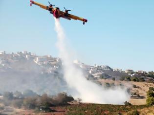 Φωτογραφία για Μεγάλη φωτιά σε εξέλιξη στην Ελασσόνα