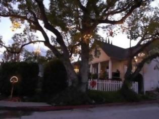 Φωτογραφία για VIDEO: Το δέντρο με τους πολυελαίους