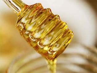 Φωτογραφία για Γιατί μπαίνει στο μικροσκόπιο το ελληνικό μέλι;