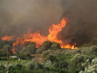 Φωτογραφία για Φωτιά σε δασική έκταση στην Κύμη Ευβοίας