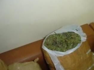 Φωτογραφία για Συλλήψεις για ναρκωτικά στην Πάφο