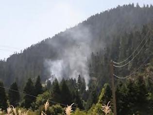 Φωτογραφία για Φωκίδα: Μια φωτιά από αστραπή παραλίγο να κάψει τον Παρνασσό...