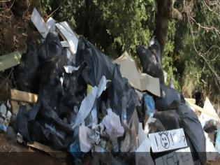 Φωτογραφία για Oι Οικολόγοι Δυτικής Ελλάδας για το σοβαρό κρούσμα απόρριψης απορριμμάτων στο δρυοδάσος της Φολόης
