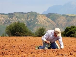 Φωτογραφία για Μαντούδι: Τον τσίμπησε φίδι και πέθανε!