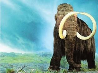 Φωτογραφία για ΑΠΙΣΤΕΥΤΕΣ ΕΙΚΟΝΕΣ: Βρέθηκε ανέπαφο θηλυκό μαμούθ… 39.000 ετών!!!