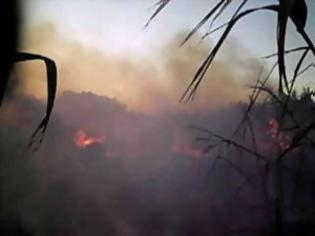 Φωτογραφία για Μεγάλη πυρκαγιά σε χαράδρα στη Κρήτη