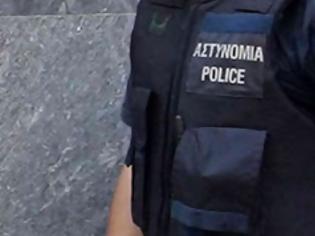 Φωτογραφία για Λεηλατούσε επί ένα μήνα την ίδια μάντρα!