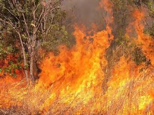 Φωτογραφία για Σε εξέλιξη μεγάλη φωτιά στην Κάντανο - Επιχειρούν επίγειες και εναέριες δυνάμεις της πυροσβεστικής