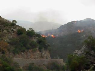 Φωτογραφία για Κρήτη: 410 στρέμματα γης έκαψε η φωτιά στην Κάντανο