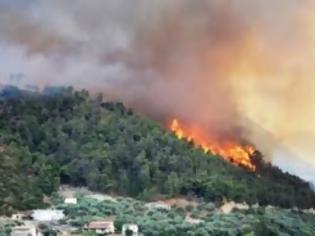 Φωτογραφία για Πυρκαγιά στον Σχινιά Αττικής