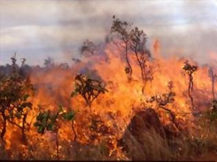 Φωτογραφία για Στο 4 ο βαθμός επικινδυνότητας πυρκαγιάς σε όλο το νησί