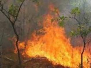 Φωτογραφία για Μεγάλη φωτιά στις Κορακιές, κοντά σε κατοικίες - Μάχη με τον άνεμο