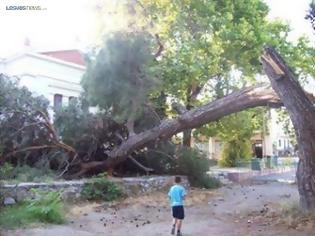 Φωτογραφία για Μυτιλήνη: Παιδιά σώθηκαν από θαύμα