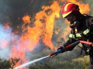Φωτογραφία για Μεγάλη φωτιά στην Εύβοια απειλεί σπίτια
