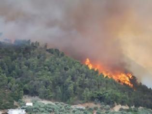 Φωτογραφία για Πάτρα : Φωτιά σε δασική έκταση στο χωριό Άρλα Αχαΐας