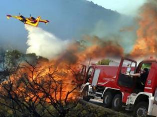 Φωτογραφία για Υψηλός κίνδυνος για πυρκαγιά Ανατολικά της Κρήτης