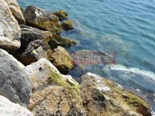 Φωτογραφία για ΣΟΚ στη Kεφαλονιά: Γυναίκα βρέθηκε νεκρή στα βράχια