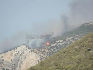 Φωτογραφία για Σε εξέλιξη πυρκαγιά στη Σάμο