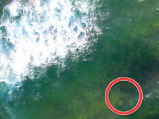Φωτογραφία για Βίντεο-σοκ από την φονική επίθεση καρχαρία σε 18χρονη