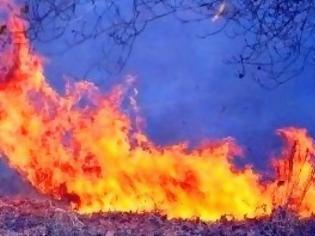 Φωτογραφία για Πάτρα: Καλαμιές και ξερά χόρτα έγιναν στάχτη στο Κάτω Καστρίτσι