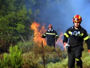 Φωτογραφία για Τέσσερις φωτιές το απόγευμα στην Πελοπόννησο