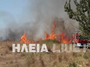 Φωτογραφία για Πύργoς: Φωτιά απειλεί σπίτια!