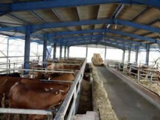 Φωτογραφία για Δήμος Λαγκαδά - Ταχύτερη η διαδικασία αδειοδότησης των κτηνοτροφικών μονάδων