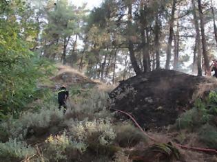 Φωτογραφία για ΠΡΙΝ ΛΙΓΟ: Πυρκαγιά στο περιαστικό δάσος των Ιωαννίνων