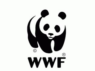 Φωτογραφία για WWF: Απομακρύνεται η Ευρωπαϊκή Τράπεζα Επενδύσεων από τον λιγνίτη