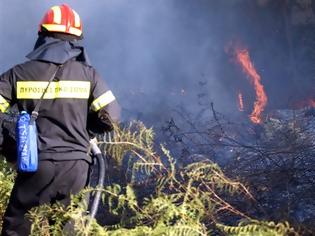 Φωτογραφία για Μαίνεται η φωτιά στην Αργολίδα, δεν απειλείται η Επίδαυρος!