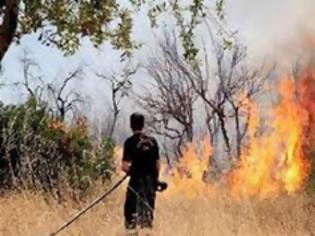 Φωτογραφία για Πυρκαγιά κατέκαψε 10 δεκάρια άγρια βλάστηση στο Στρουμπί