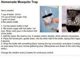 Φωτογραφία για Φτιάξτε παγίδα για κουνούπια, απλά και φθηνά