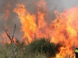 Φωτογραφία για Μεγάλη φωτιά στη Σέριφο